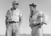 Taxi nach Tobruk mit Hardy Krüger und Lino Ventura