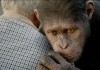 Planet der Affen: Prevolution mit Andy Serkis