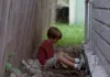 Boyhood