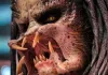 Predator