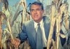 Der unsichtbare Dritte - Cary Grant
