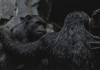 Planet der Affen: Survival - Andy Serkis (Caesar) und...cket)