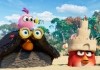 Angry Birds 2 - Der Film - Die Küken mit Bombe (Axel...tein)