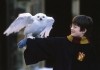 Harry Potter und der Stein der Weisen - Daniel Radcliffe