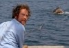 Der weie Hai - Richard Dreyfuss