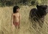 The Jungle Book - Mowgli und Bagheera