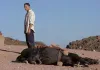 Den Menschen so fern - Daru (Viggo Mortensen) und...Pferd