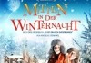 Mitten in der Winternacht