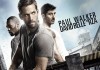 Brick Mansions