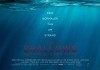 The Shallows - Gefahr aus der Tiefe