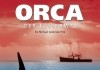 Orca, der Killerwal