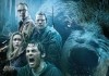 Into the Grizzly Maze