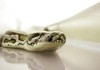 Snakes On A Plane  2006 Warner Bros. Ent.