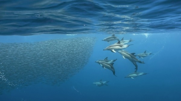 Magisches Mittelmeer