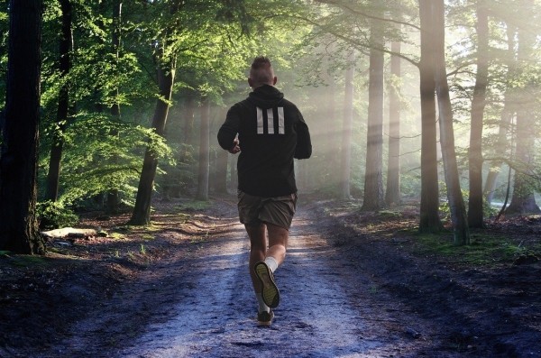 Auch klassisches Lauftraining steht bei den Promis...Kurs.