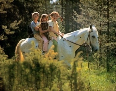 Pippi auer Rand und Band