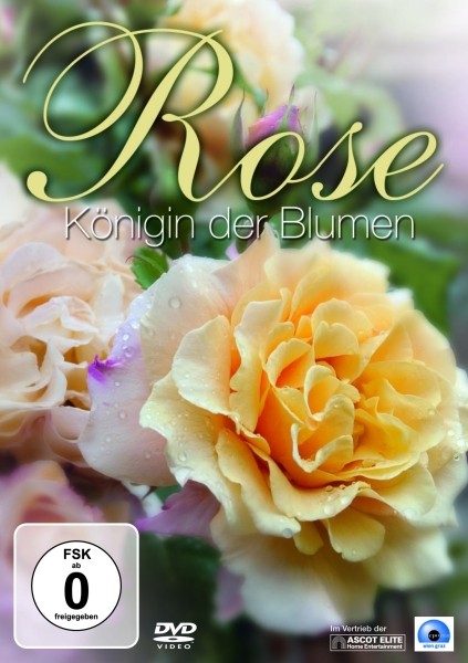 Rose - K�nigin der Blumen