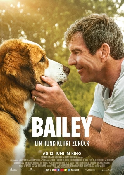 Bailey - Ein Hund kehrt zur�ck