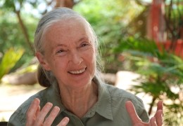 Jane's Journey - Dr. Jane Goodall