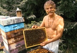 Queen of the Sun: What Are the Bees Telling Us? -...tache