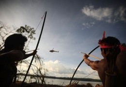 Count - Down am Xingu III
