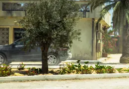 13 Hours: The Secret Soldiers of Benghazi - David Costabile