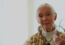 Hope for all - Jane Goodall