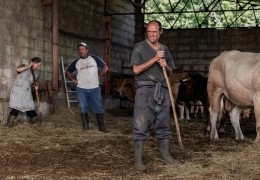 Wie wilde Tiere - Die Anta Familie, Mutter Anta...barn.