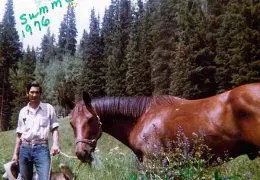 Townes Van Zandt  MFA+ Filmdistribution