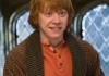 Harry Potter und der Halbblutprinz - Rupert Grint
