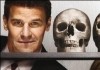 Bones - Season 4  6 DVDs
