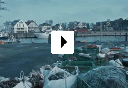 Beule - Zerlegt die Welt