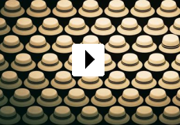 Tierisch abgefahren - Rettet die Pets!