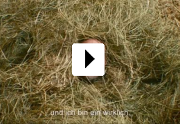 Future Council - Komm an Bord