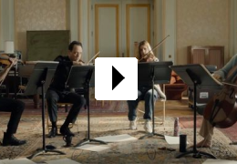 Der Klang der Stradivari