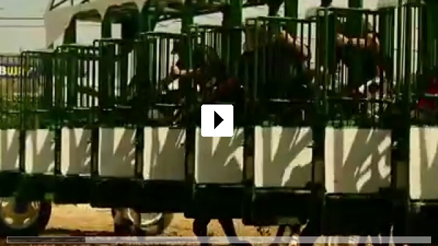 Zum Video: Ponies