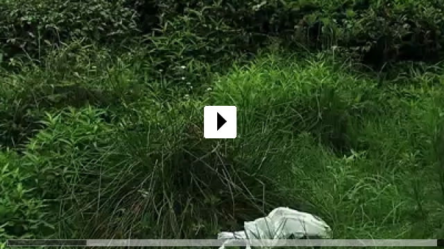 Zum Video: Der Müll im Garten Eden