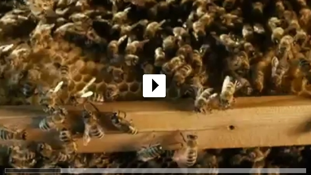 Zum Video: More than Honey