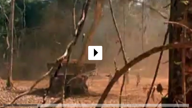 Zum Video: Der Smaragdwald