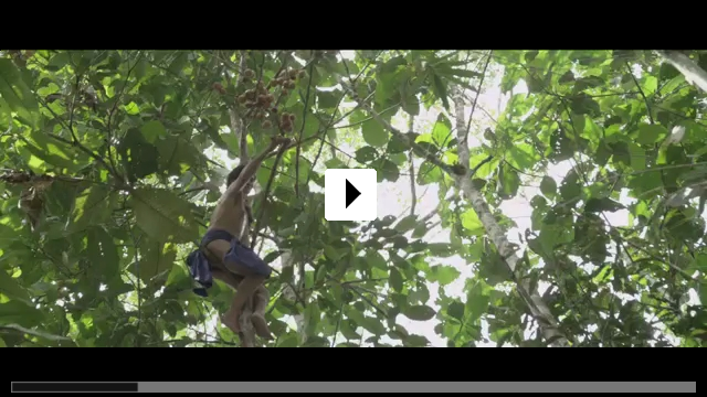 Zum Video: The Fruit Hunters