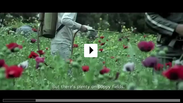 Zum Video: Jardin de Amapolas – Mohnblumenwiese