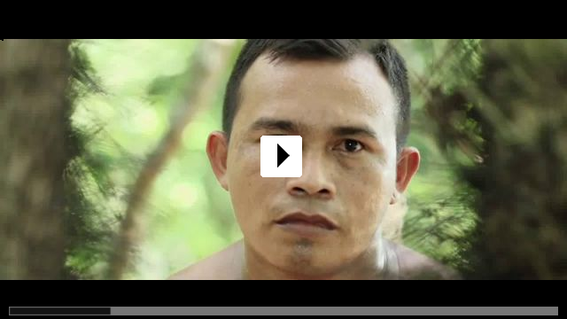 Zum Video: A Floresta de Jonathas - Im dunkeln Grn