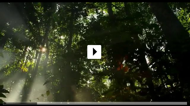 Zum Video: Amazonia - Abenteuer im Regenwald