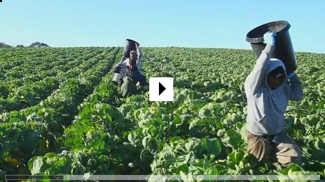 Zum Video: Food Chains