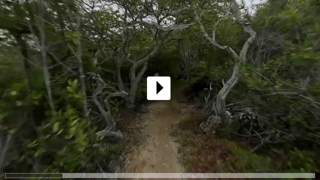Zum Video: The Galapagos Affair: Satan Came to Eden