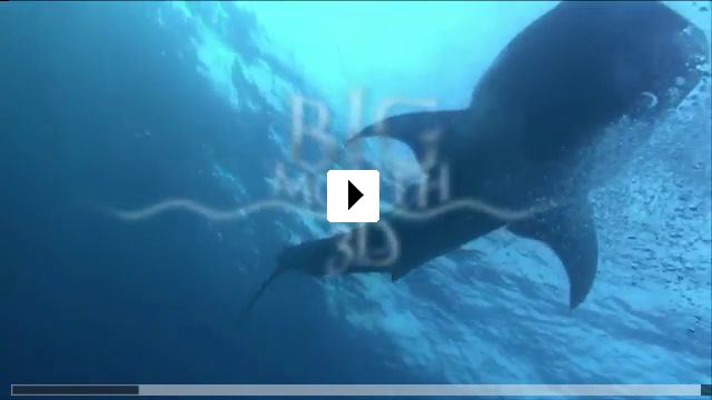 Zum Video: Big Mouth 3-D - Einzigartige Freundschaft zwischen...Walhai