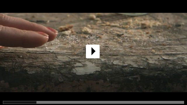 Zum Video: Die Fliege in der Asche
