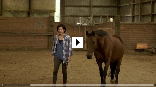 Zum Video: Von Mdchen und Pferden