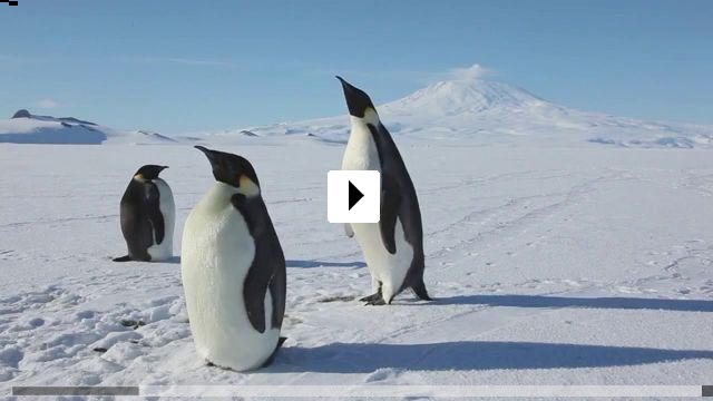 Zum Video: Antarctica: A Year on Ice