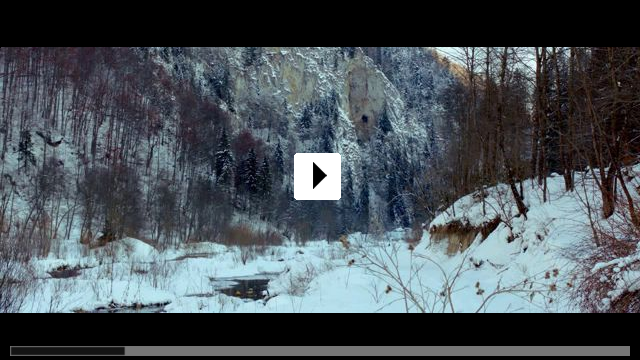 Zum Video: The Timber
